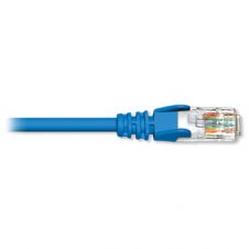 RJ45 CAT5E PC45-8 Divers PC45-8 - Réseau